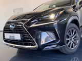 Lexus NX 300h Amazing Edition*LED*SHZ*PDC* - gebrauchte Lexus SUV & Geländewagen