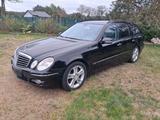 Mercedes-Benz Mercedes Benz E280 CDI  Avangard 7G tronic - Mercedes CE-Klasse bis 5.000 Euro