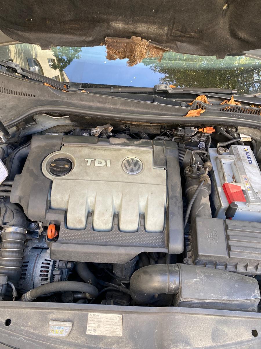 Volkswagen Golf 2008 — photo 9