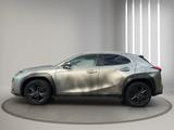 Lexus UX 250h - - Lexus UX Gebrauchtwagen