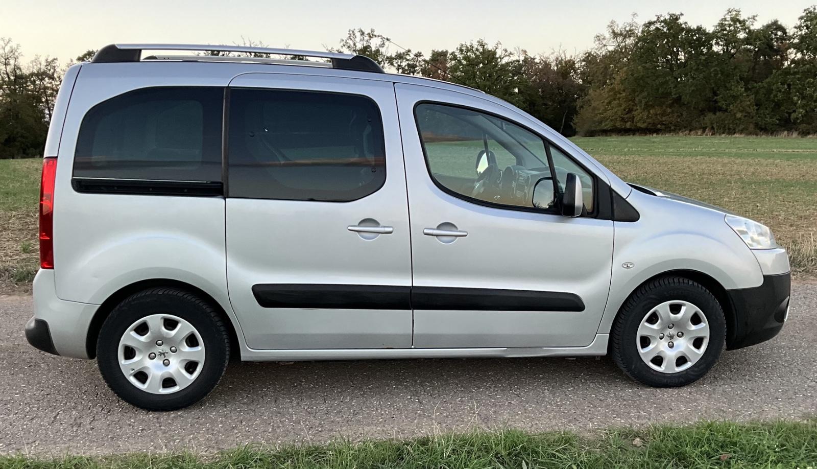 Peugeot Partner 2010 — rear view