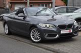 BMW 218d Cabrio Luxury Line *Bi-Xenon*Kamera*Leder*