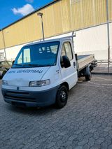 Fiat ducato priche  2,8jtd keine tuv - Fiat Ducato mit Diesel-Antrieb: 2.8