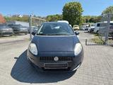 Fiat Punto 1.2i 8V Klima Media Tel Euro 4 - Fiat Punto aus 2007