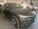 Alfa Romeo Stelvio  Competizione  2.0 Turbo*Assistenz Paket - Alfa Romeo Stelvio Competizione