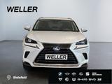 Lexus NX 300h Amazing Edition *Bi-LED*ACC*CAM*SHZ*DAB* - Lexus NX 300: H