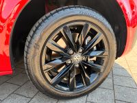 Volkswagen T6.1 Multivan EDITION 2.0 TDI DSG 4M STANDHZ AHK bei Autohaus Landmann & Maier OHG