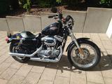 Harley-Davidson Harley Davidson Sportster XL1200 - HARLEY-DAVIDSON 2008 SPORTSTER 1200