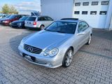Mercedes-Benz CLK 500 Avantgarde *KeyGo*ACC*SHD*Memory*SitzH* - Mercedes-Benz CLK 500: Coupé