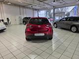 Mazda 2 Sports-Line, Autom., LED, Kamera, SHZ, ALU - Mazda 2 in Bochum