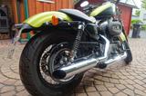 Harley-Davidson XL 1200 Nightster TOP ZUSTAND + RAR - HARLEY-DAVIDSON XL 1200N NIGHTSTER