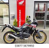Honda XL750 Transalp Vorführ-u. Mietfahrzeug 2025 - HONDA 750 XL