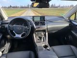 Lexus NX 300h Style Edition  - Lexus aus 2021