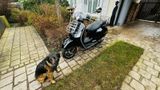 Piaggio Vespa GTS 300 - Angebote entsprechen deinen Suchkriterien