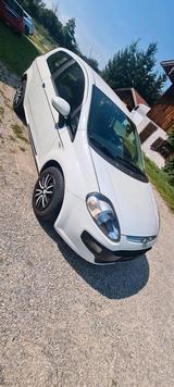 Fiat fiat punto,1 Hand Top zustand - gebrauchte Fiat Punto aus dem Jahr 2011