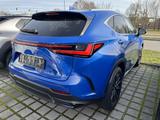 Lexus NX 350h Executive Line - Lexus aus 2024: Nx