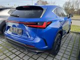 Lexus NX 350h Executive Line - Lexus aus 2024: Nx