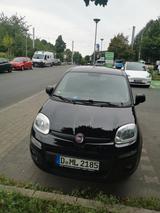 Fiat Panda More 1.2 TÜV neu Klima - Fiat Panda: More