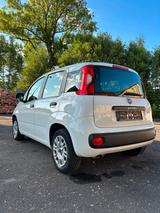 Fiat Panda Easy - Klima - 1 Hand - Fiat Gebrauchtwagen von 2020