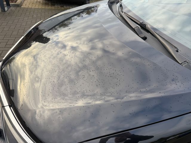 Toyota Auris  Touring Sports Design Edition