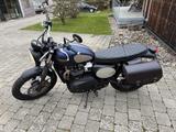 Triumph Street Scrambler Goldline - TRIUMPH STREET SCRAMBLER