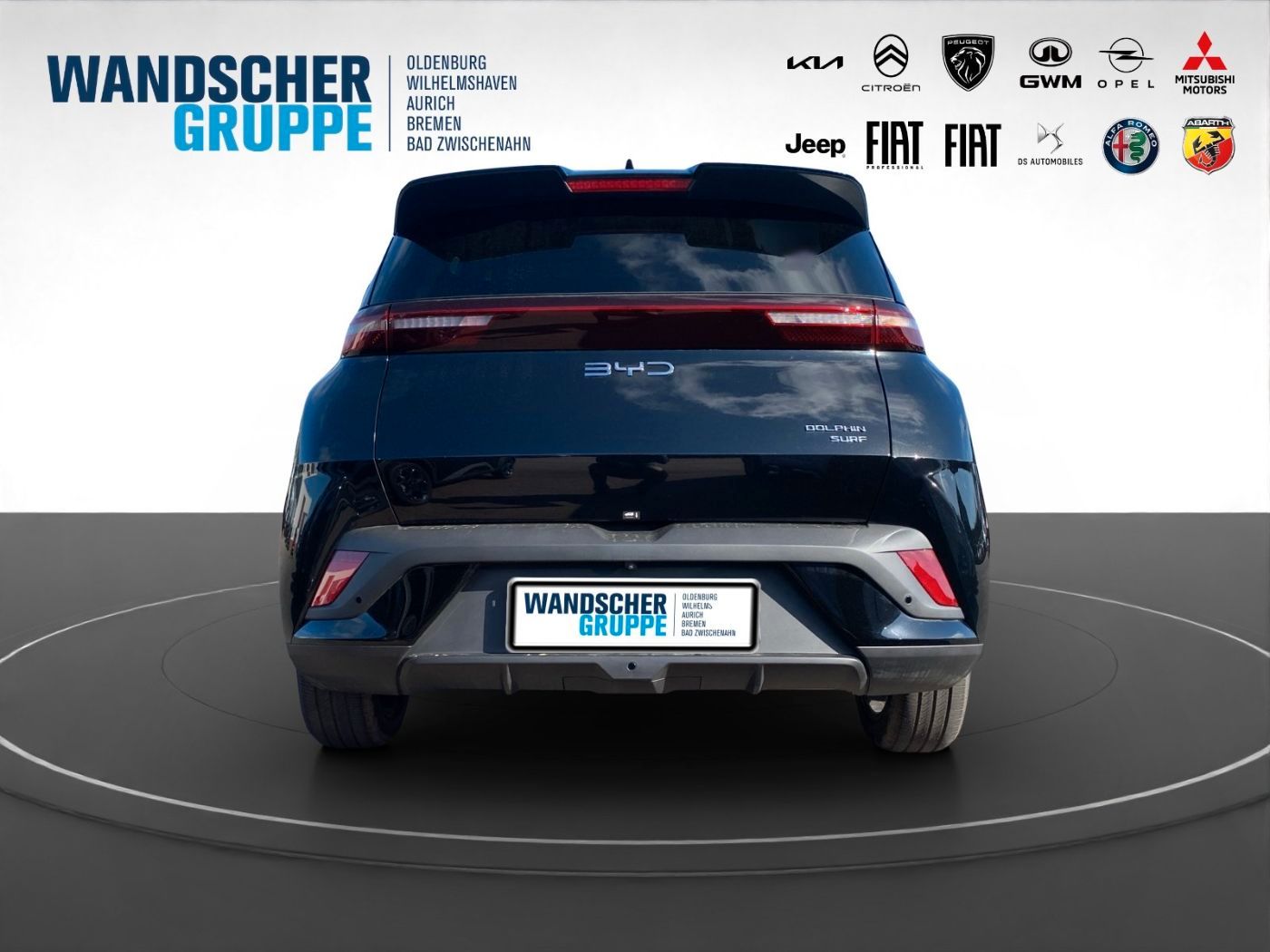 BYD DOLPHIN SURF
