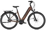 Raleigh Bristol XXL - Raleigh E-Bikes