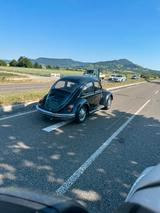 Volkswagen Käfer - Volkswagen: Halbautomatik