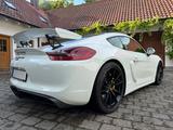 Porsche Cayman GT4 Schalensitze NAVI Chrono SportAGA - Porsche Cayman: Sport Chrono