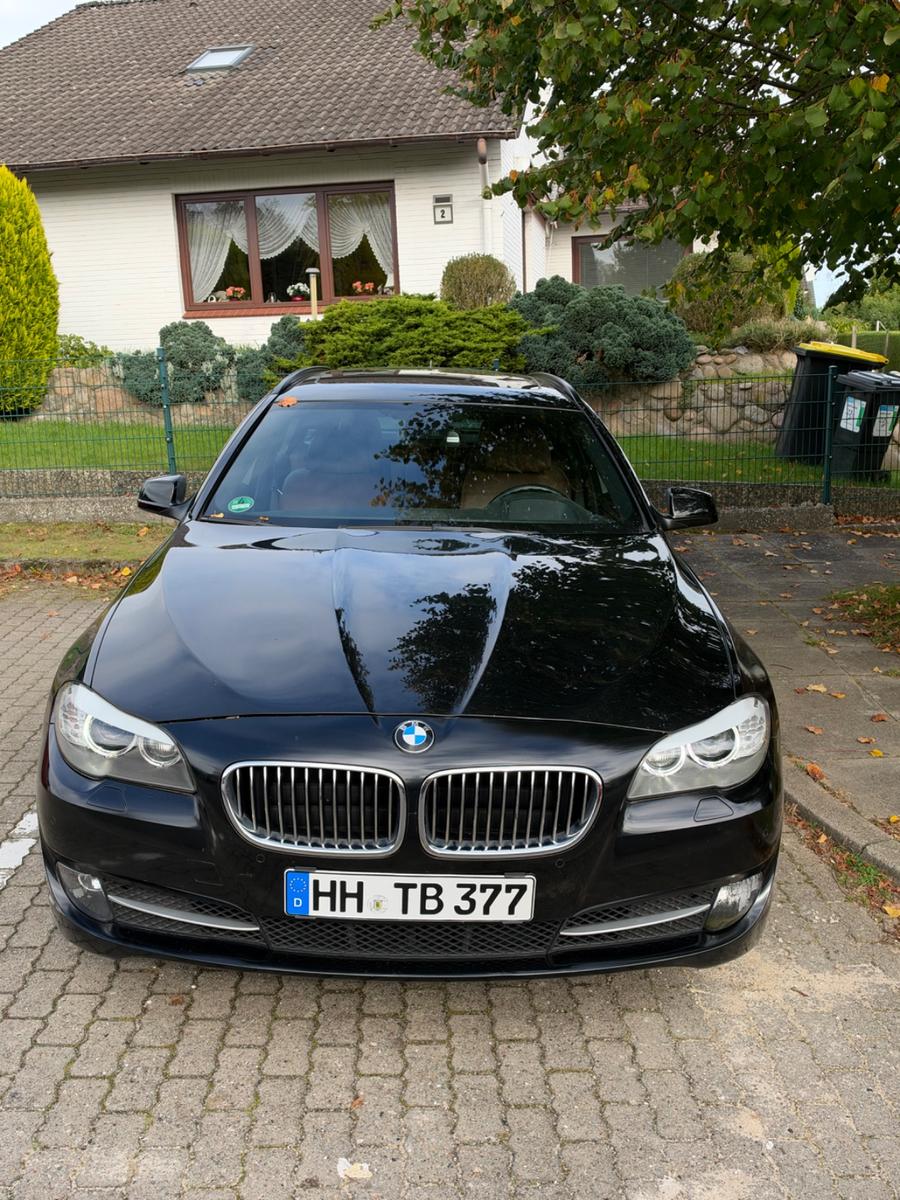 BMW 523 2011 — rear view
