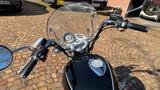 BMW R1200 C - Cruiser - Top gepflegt - Angebote
