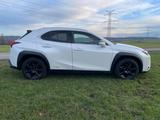 Lexus UX 250h Amazing Edition Amazing Edition - gebrauchte Lexus Pickups