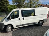 Fiat Ducato Kasten 33 115
