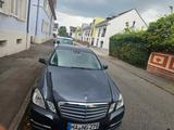 Mercedes-Benz E 220 CDI - - Mercedes-Benz E 220 in Mannheim