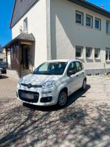 Fiat Panda 1.3 - Fiat Panda in Hamm