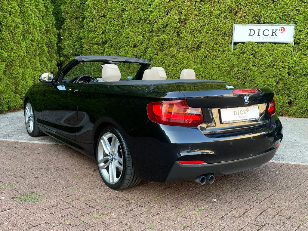 Fahrzeugabbildung BMW 220 d Cabrio M Sport/M Paket XEN+PROF+LEDER+SHZ+