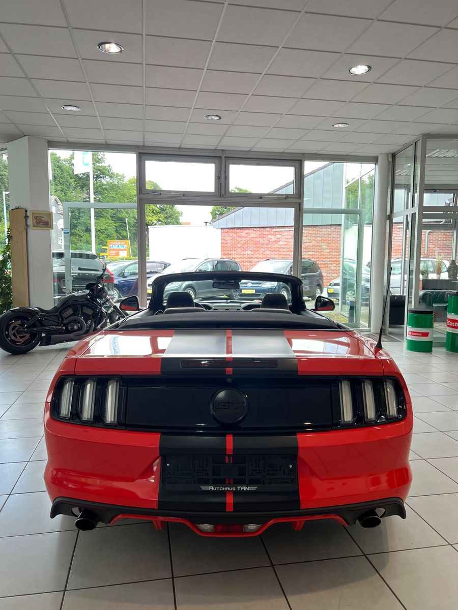 Fahrzeugabbildung Ford Mustang GT 5.0 Convertible ASCH KOMPRESSOR
