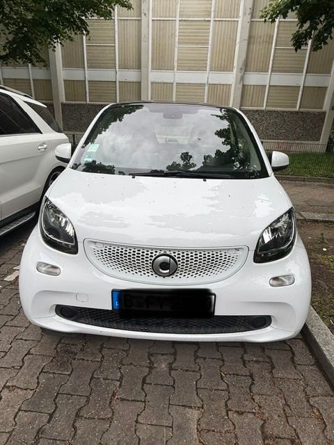 Image of Smart Other