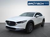 Mazda CX-30 2.5L e-SKYACTIV FWD Prime-Line - Mazda CX-30 mit Benzin-Antrieb: Prime Line