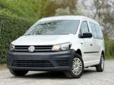 Volkswagen Caddy PKW Maxi Conceptline BMT*LEDER*1ERH* - Berlin Pkw gebraucht