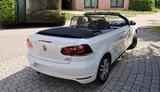 Volkswagen Golf VI Cabrio 1.2 TSI Blue Motion. 105 PS, weiß - Volkswagen: V10
