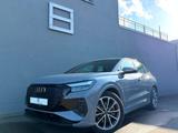 Audi Q4 e-tron S-line Panorama LED Sportsitze - Audi Q4 e-tron: Alcantara