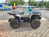 Access Motor Shade Xtreme 660 Anniversary Edition - ACCESS MOTOR MOTORRAD