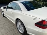 Mercedes-Benz SL 55 AMG AMG - Mercedes-Benz SL 55 AMG mit Benzin-Antrieb: Cabrio