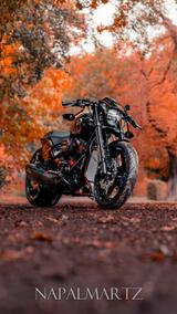 Harley-Davidson Softail FXDR 114 Thunderbike Style Custom +260er - Harley-Davidson FXDR 114