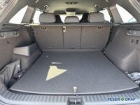 Skoda Kodiaq - Vorschau Bild 7