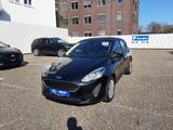 Ford Fiesta 1.0 EcoBoost S&S TREND - Ford Fiesta Gebrauchtwagen in Oldenburg