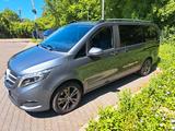 Mercedes-Benz V 250 d Aut. AVANTG. ED. extralang AVANTGARD... - Mercedes-Benz V 250 in Wiesbaden