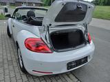 Volkswagen Beetle 2.0 TDI 81kW BMT ALLSTAR Cabriolet AL... - Volkswagen Beetle mit Diesel-Antrieb: Cabrio