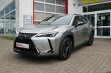 Lexus UX 250H Executive 3 Jahre Garantie - gebrauchte Lexus UX aus dem Jahr 2024